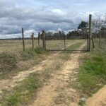 Property photo for land for sale in Chilton County Alabama