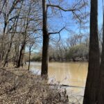 Property photo for land for sale in Morehouse County Louisiana