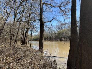 Property photo for land for sale in Morehouse County Louisiana