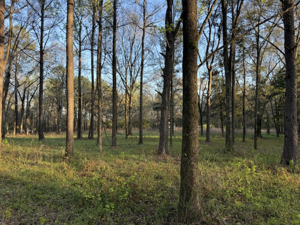 Property photo for land for sale in Monroe County Alabama
