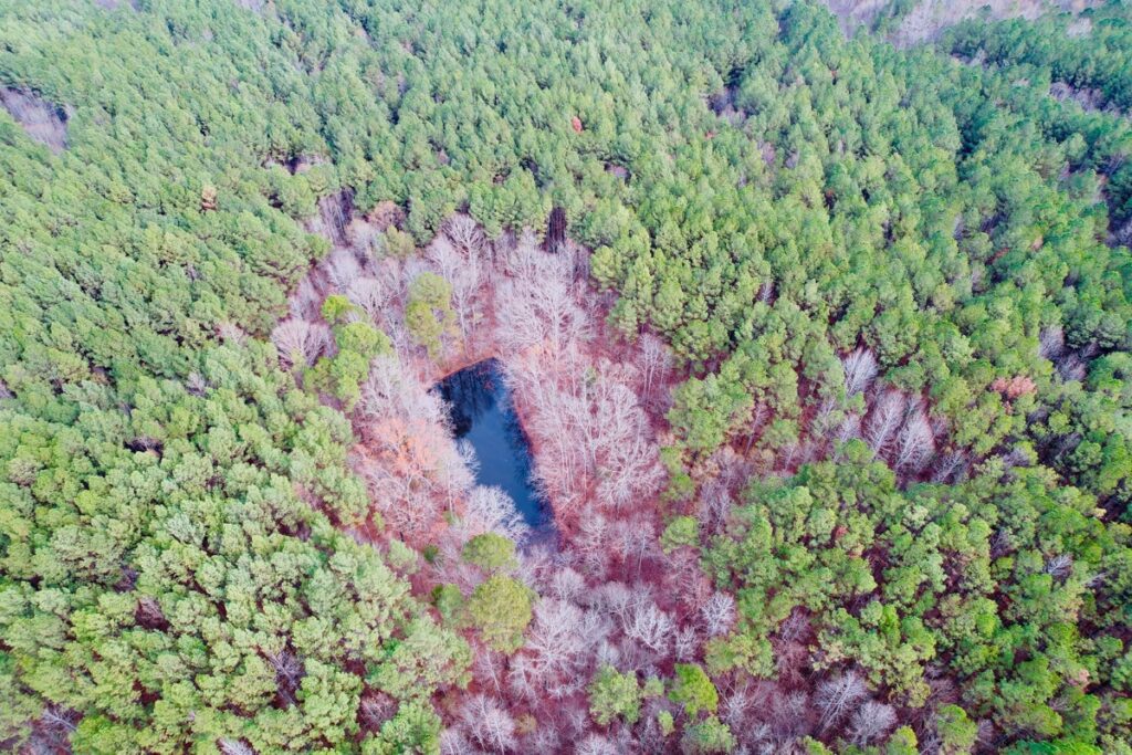 a1cfef87-c7a2-4645-a646-f770c146ee8d