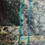 Property photo for land for sale in  County Mississippi