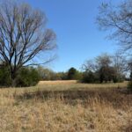 Property photo for land for sale in Red River County Texas