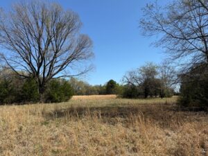 Property photo for land for sale in Red River County Texas