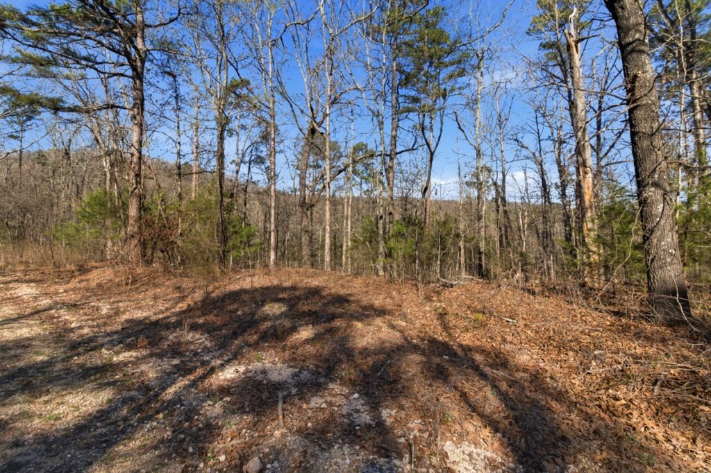 Property photo for land for sale in Ozark County Missouri