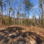 Property photo for land for sale in Ozark County Missouri