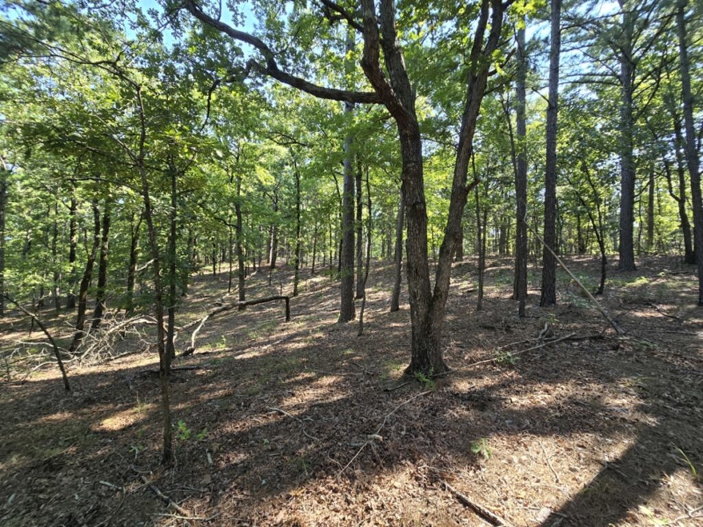 Property photo for land for sale in Le Flore County Oklahoma