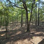 Property photo for land for sale in Le Flore County Oklahoma