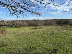 Property photo for land for sale in Pushmataha County Oklahoma