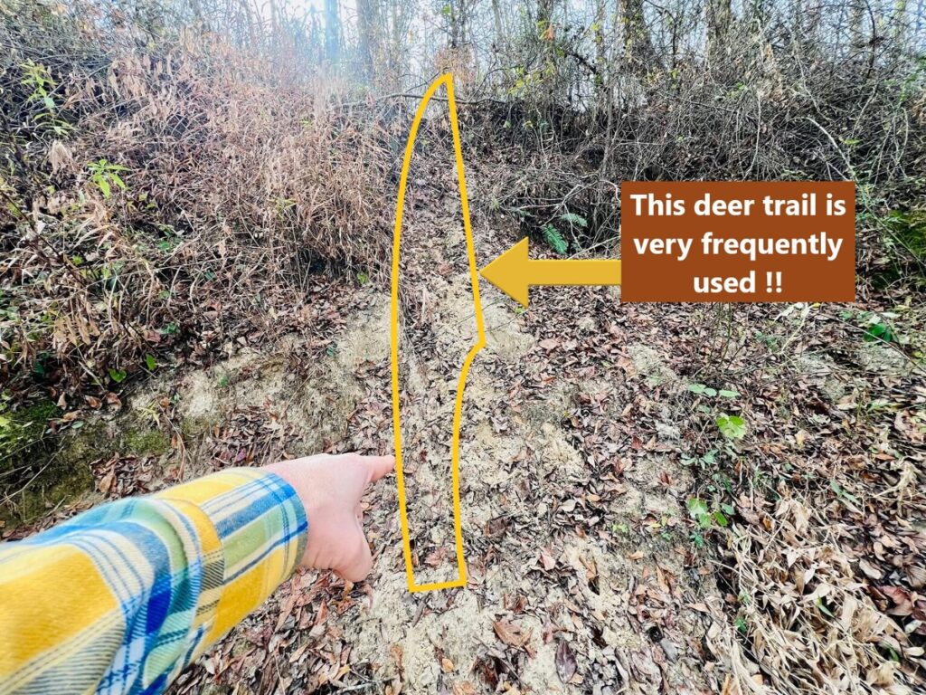 ad282e0c-56b1-4501-b2c8-9c9658478453