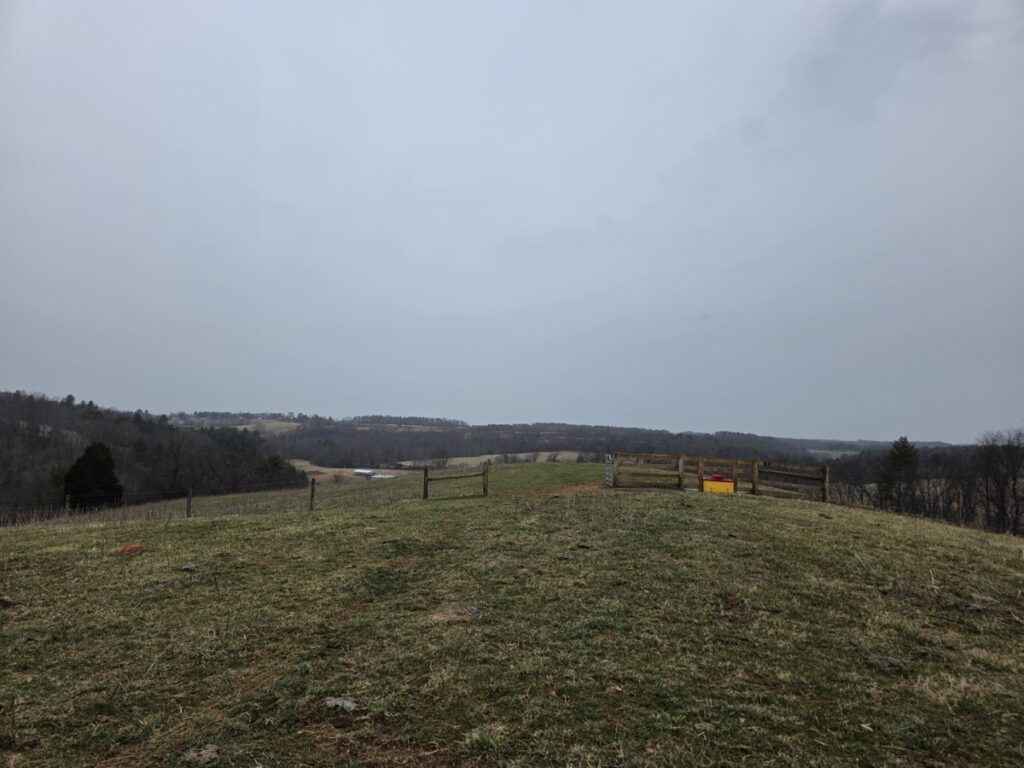 b699e310-adf3-4c54-82f3-1af7a3e39273