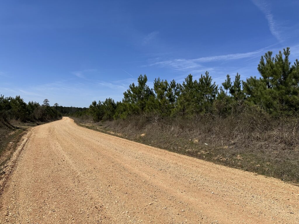 Property photo for land for sale in Drew County Arkansas
