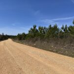 Property photo for land for sale in Drew County Arkansas