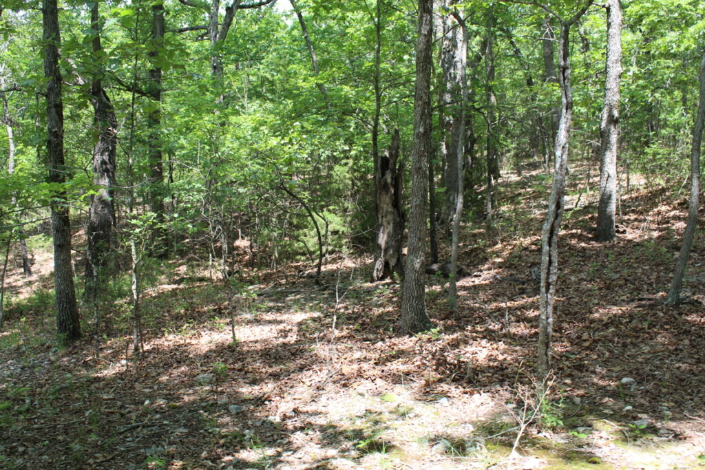 Property photo for land for sale in Boone County Missouri