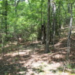 Property photo for land for sale in Boone County Missouri