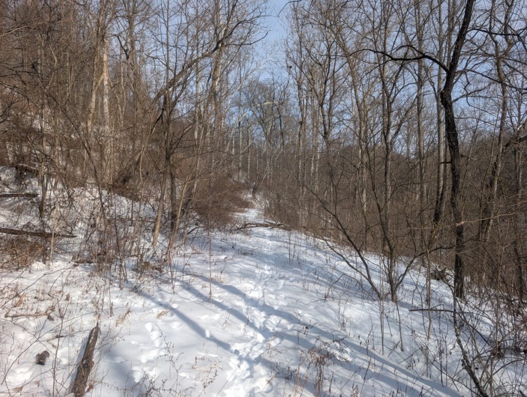 Property photo for land for sale in Monroe County Ohio