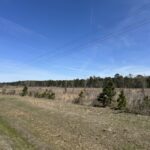 Property photo for land for sale in Bradley County Arkansas