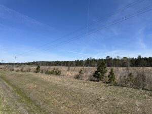 Property photo for land for sale in Bradley County Arkansas