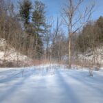 Property photo for land for sale in Belmont County Ohio