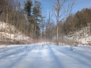 Property photo for land for sale in Belmont County Ohio