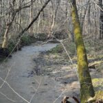 Property photo for land for sale in Charlotte County Virginia