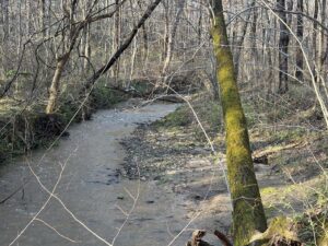 Property photo for land for sale in Charlotte County Virginia