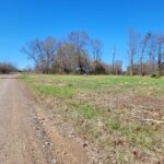 Property photo for land for sale in Red River County Texas