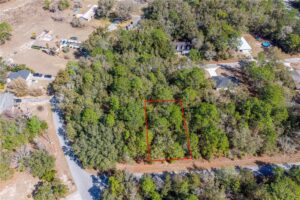 Property photo for land for sale in Levy County Florida