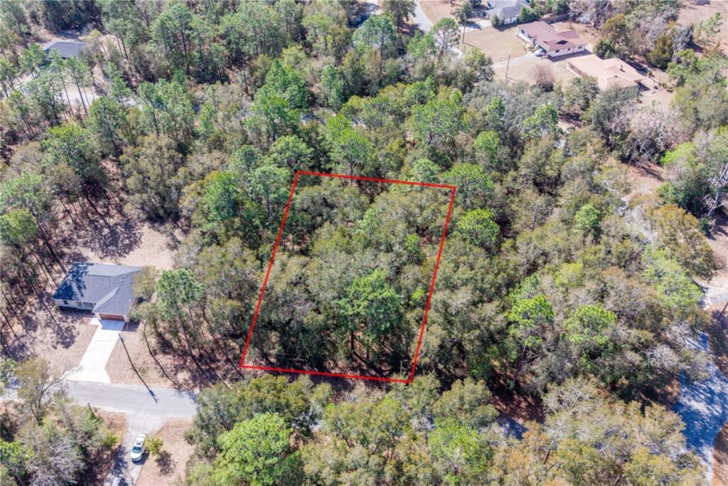 Property photo for land for sale in Levy County Florida