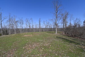 Property photo for land for sale in Perry County Tennessee