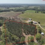 Property photo for land for sale in Geneva County Alabama