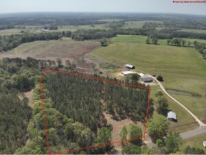 Property photo for land for sale in Geneva County Alabama