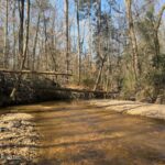 Property photo for land for sale in Simpson County Mississippi