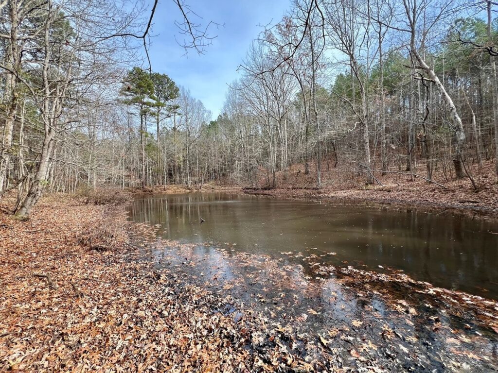 d1a20e9b-020c-4312-b49f-6868c2e4c4ac