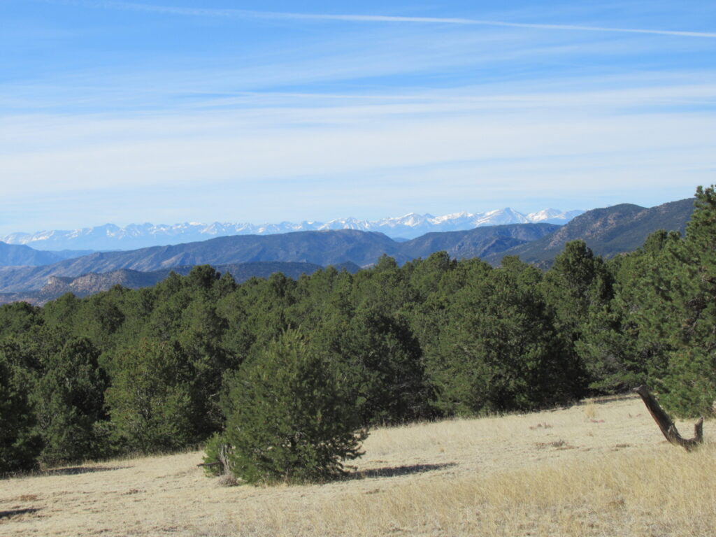Property photo for land for sale in Fremont County Colorado
