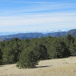 Property photo for land for sale in Fremont County Colorado