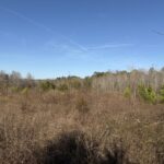 Property photo for land for sale in Spartanburg County South Carolina