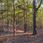 Property photo for land for sale in Boone County Missouri