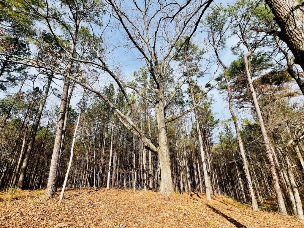 d67040f4-adf9-47ab-b741-664ad65967b9