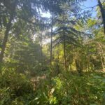 Property photo for land for sale in  County Costa Rica