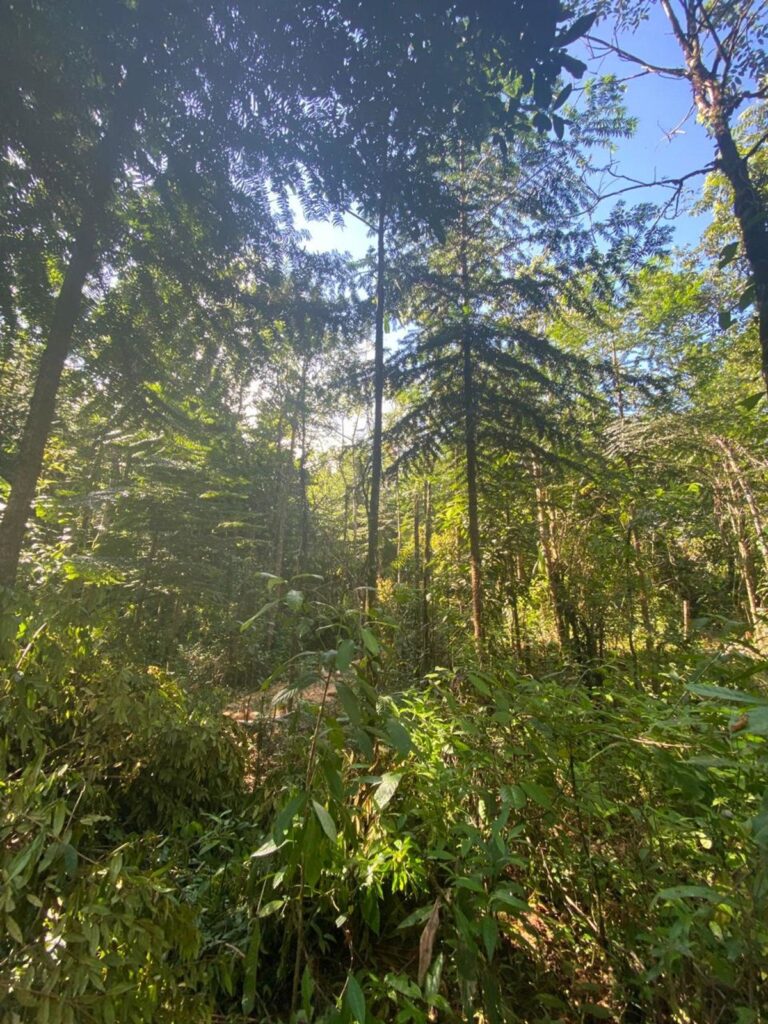 Property photo for land for sale in  County Costa Rica