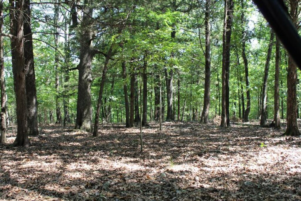 Property photo for land for sale in Boone County Missouri