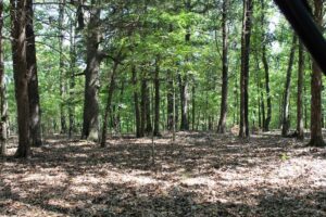 Property photo for land for sale in Boone County Missouri