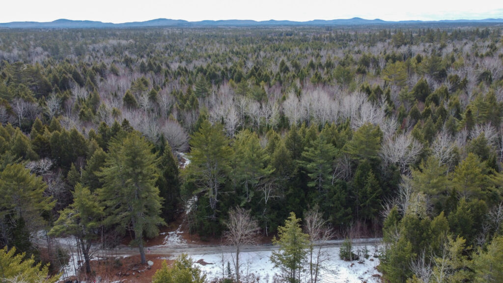 Property photo for land for sale in Penobscot County Maine