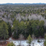 Property photo for land for sale in Penobscot County Maine