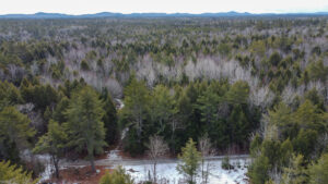Property photo for land for sale in Penobscot County Maine