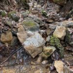 Property photo for land for sale in Johnson County Tennessee