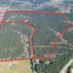 Property photo for land for sale in Lincoln County Louisiana