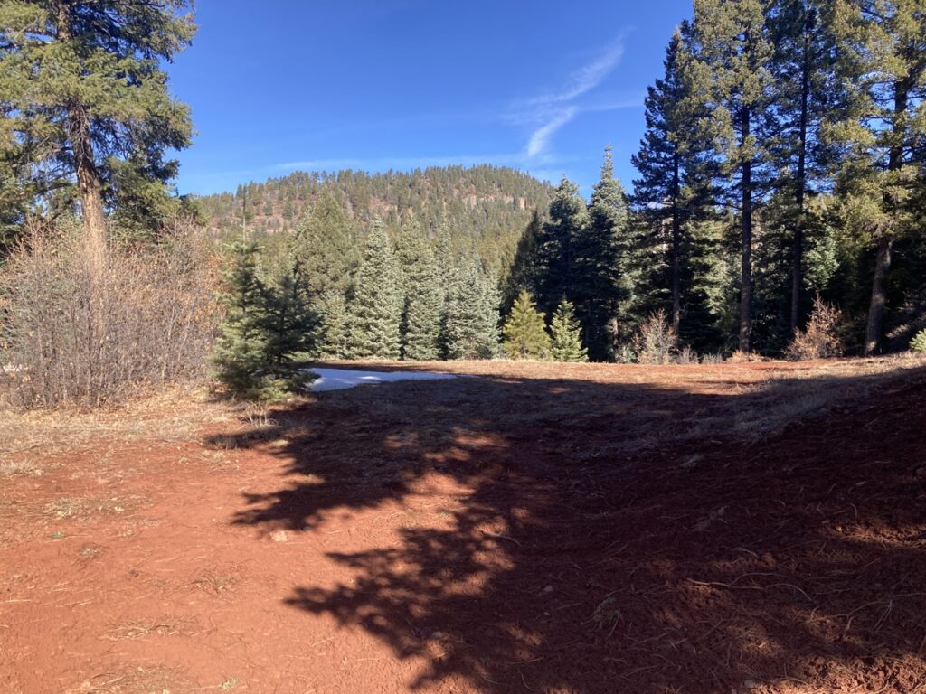 Property photo for land for sale in Rio Arriba County New Mexico