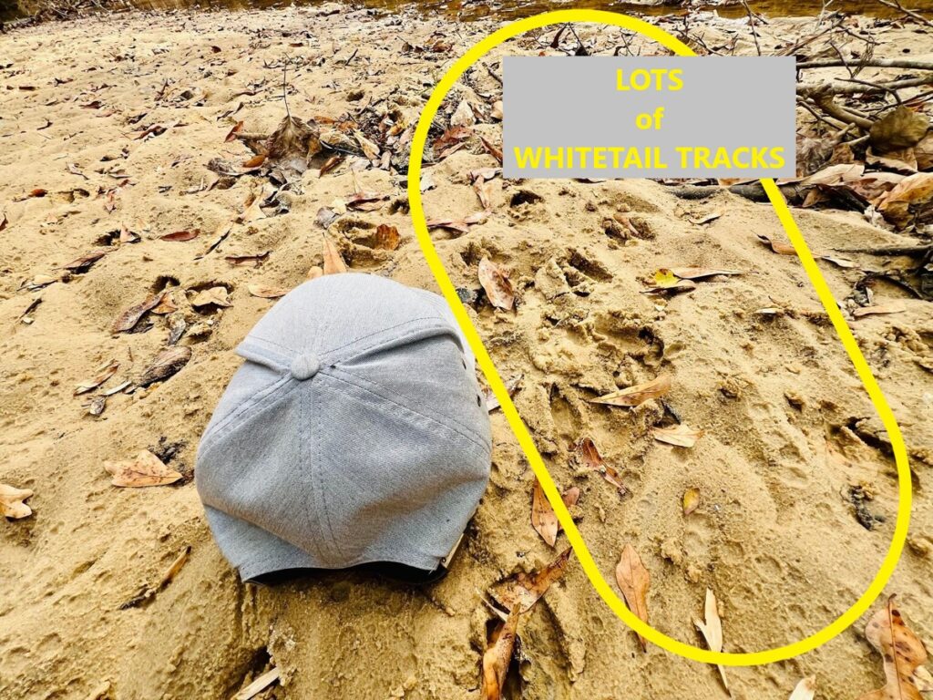 e481613e-dde8-49a9-b21d-d35b96a79e00